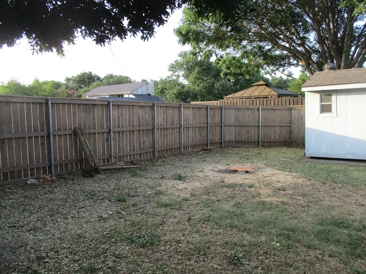 Cleared yard after professional tree removal in Le Grand