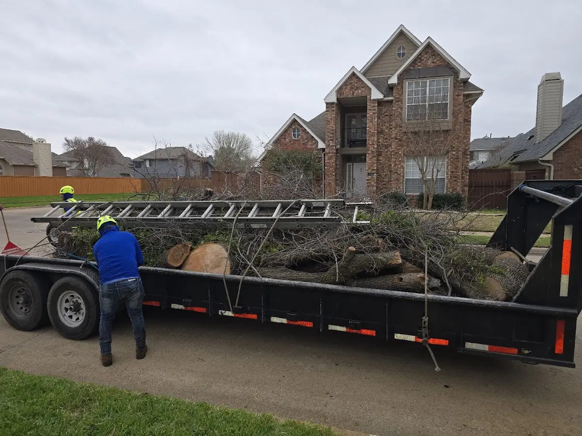 Expert Tree Pest Control with proper safety equipment in Le Grand